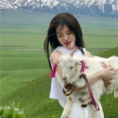 倒泻箩蟹搞丧礼 2010